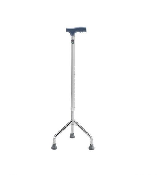 Walking stick
